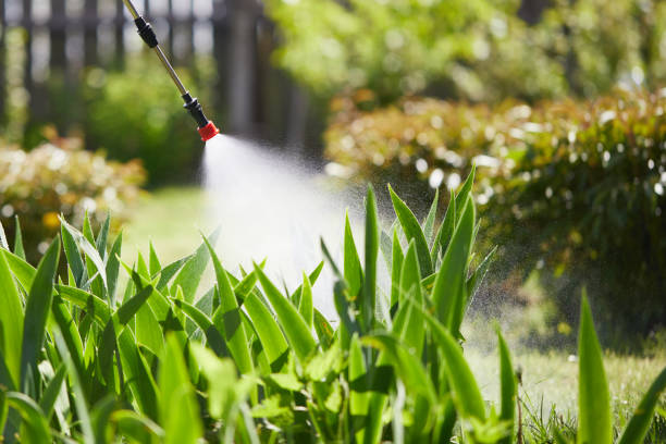 24/7 Emergency Wasp Removal experts in Columbine, CO